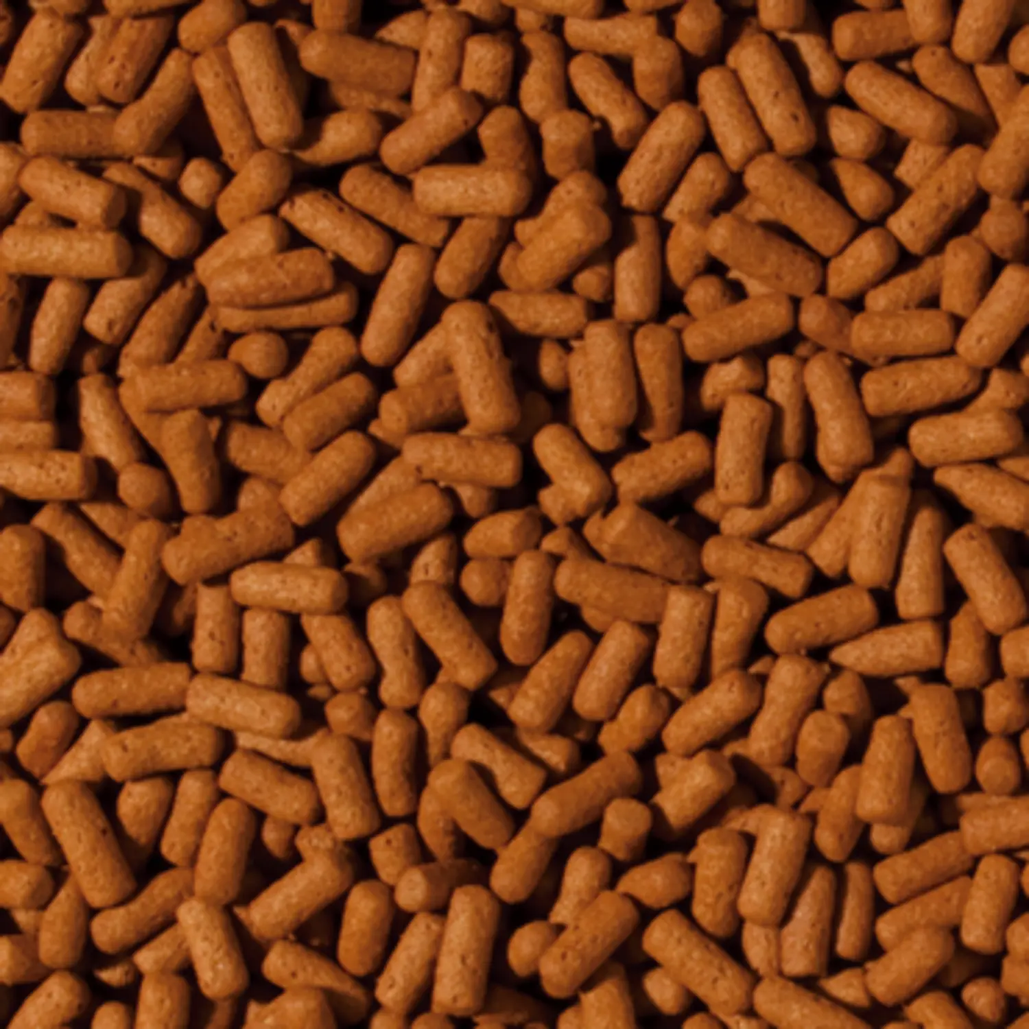 Tropical%20Cichlid%20Arowana%20Large%20Sticks%2025%20Gram%20Açık