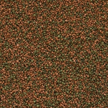 Tropical%20Cichlid%20Gran%201000%20Gr%20Açık%20Bölme