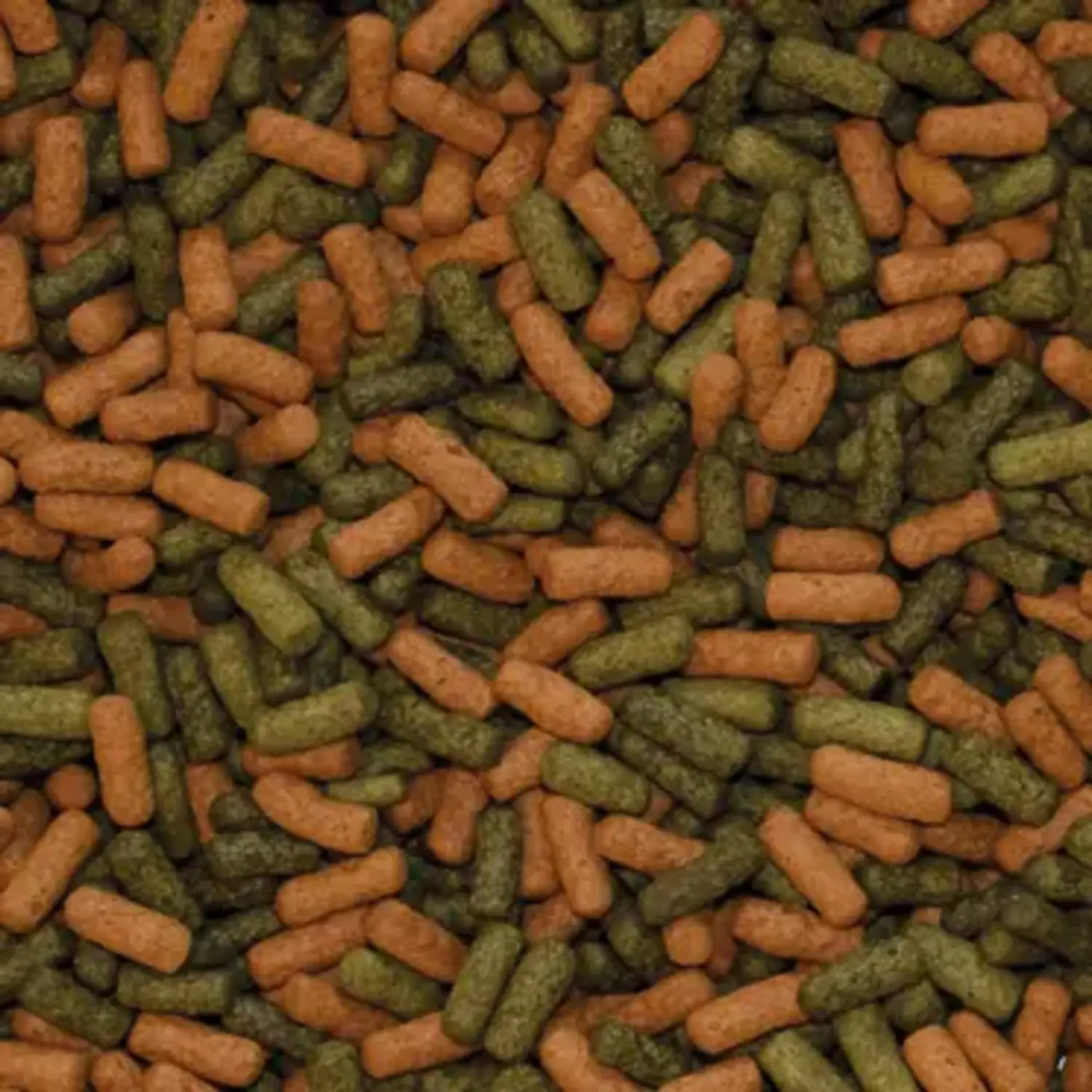 Tropical%20Cichlid%20Red%20Green%20Large%20Sticks%2025%20Gr%20Açık