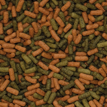 Tropical%20Cichlid%20Red%20Green%20Large%20Sticks%20500%20Gr%20Açık