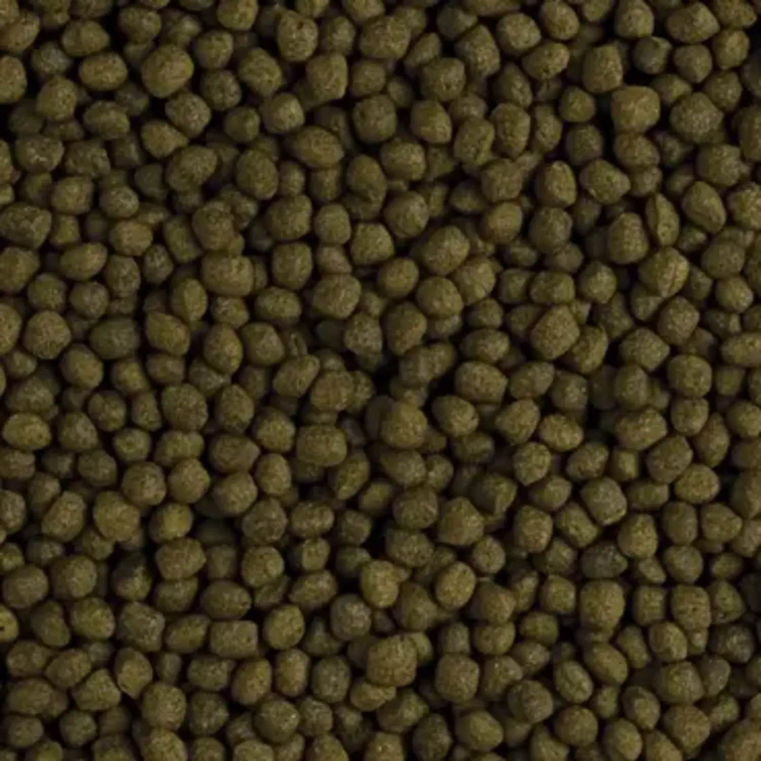 Tropical%20Flower%20Horn%20Adult%20Pellet%2025%20Gram%20Açık
