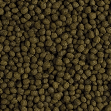 Tropical%20Flower%20Horn%20Adult%20Pellet%20500%20Gr%20Açık