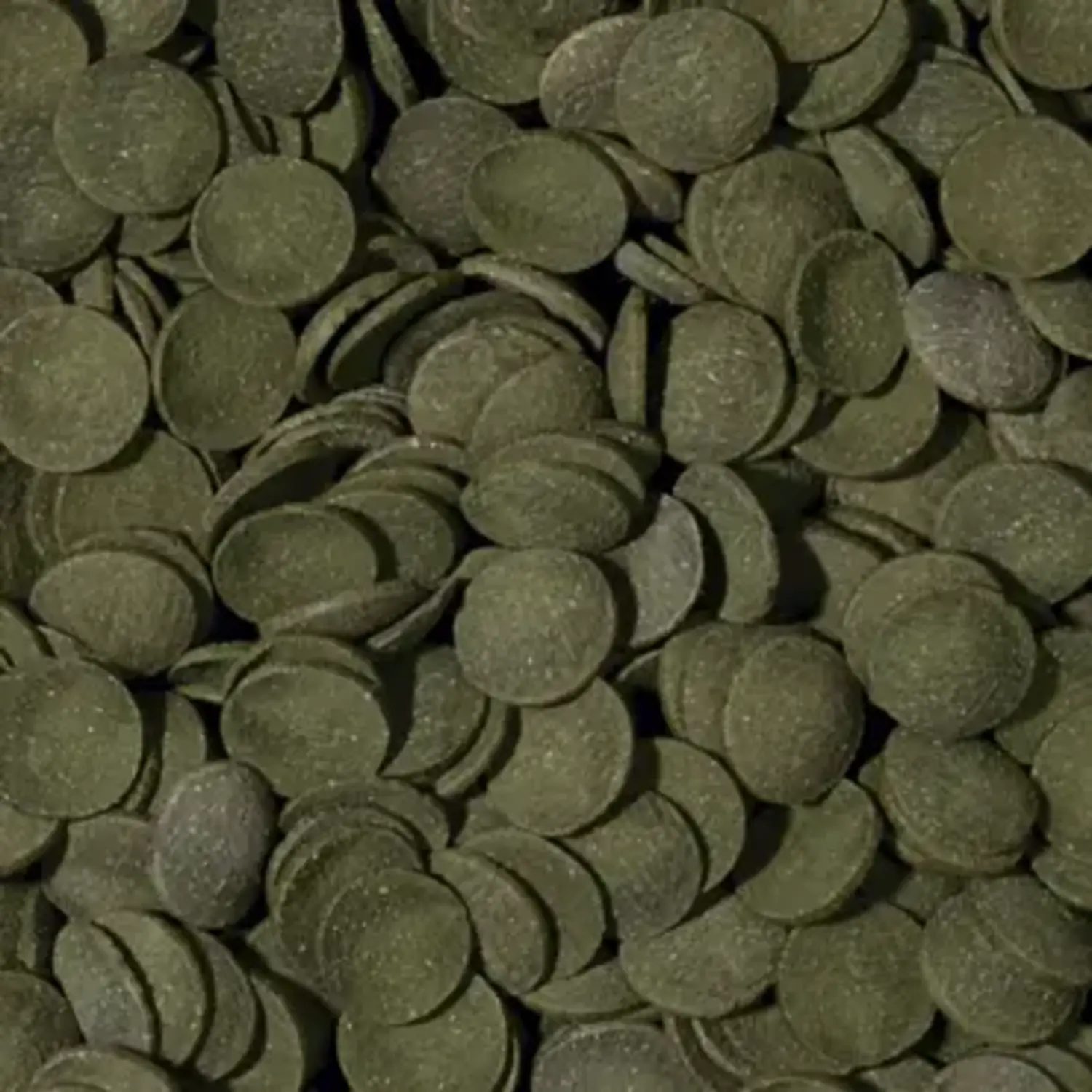 Tropical%20Green%20Algae%20Wafers%2025%20Gram%20Açık