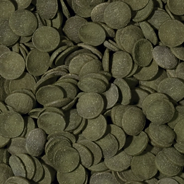 Tropical%20Green%20Algae%20Wafers%201000%20Gram%20Kovadan%20Bölme