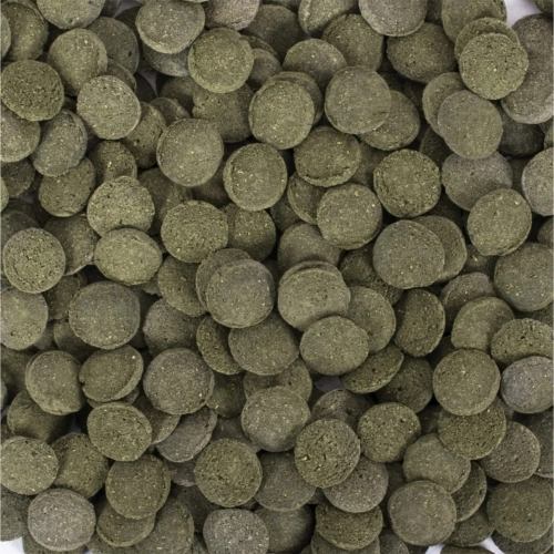 Tropical%20Hi%20Algae%20Discs%20100%20Gr%20Açık