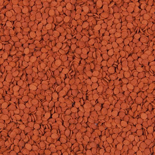 Tropical%20Krill%20Chips%2050%20Gram%20Açık