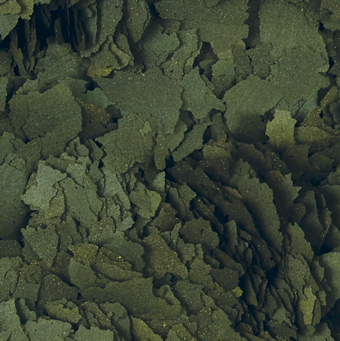 Tropical%20Spirulina%20Super%20Forte%20Flakes%20250%20Gram%20Açık