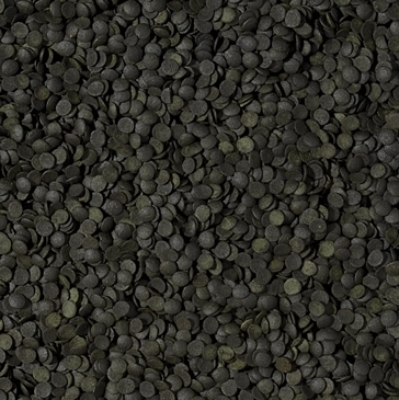 Tropical%20Super%20Spirulina%20Forte%20Chips%201000%20Gr%20Açık