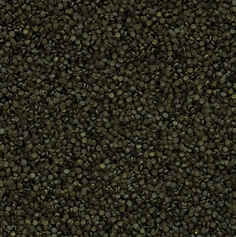 Tropical%20Super%20Spirulina%20Forte%20Gran%201000%20Gr%20Açık