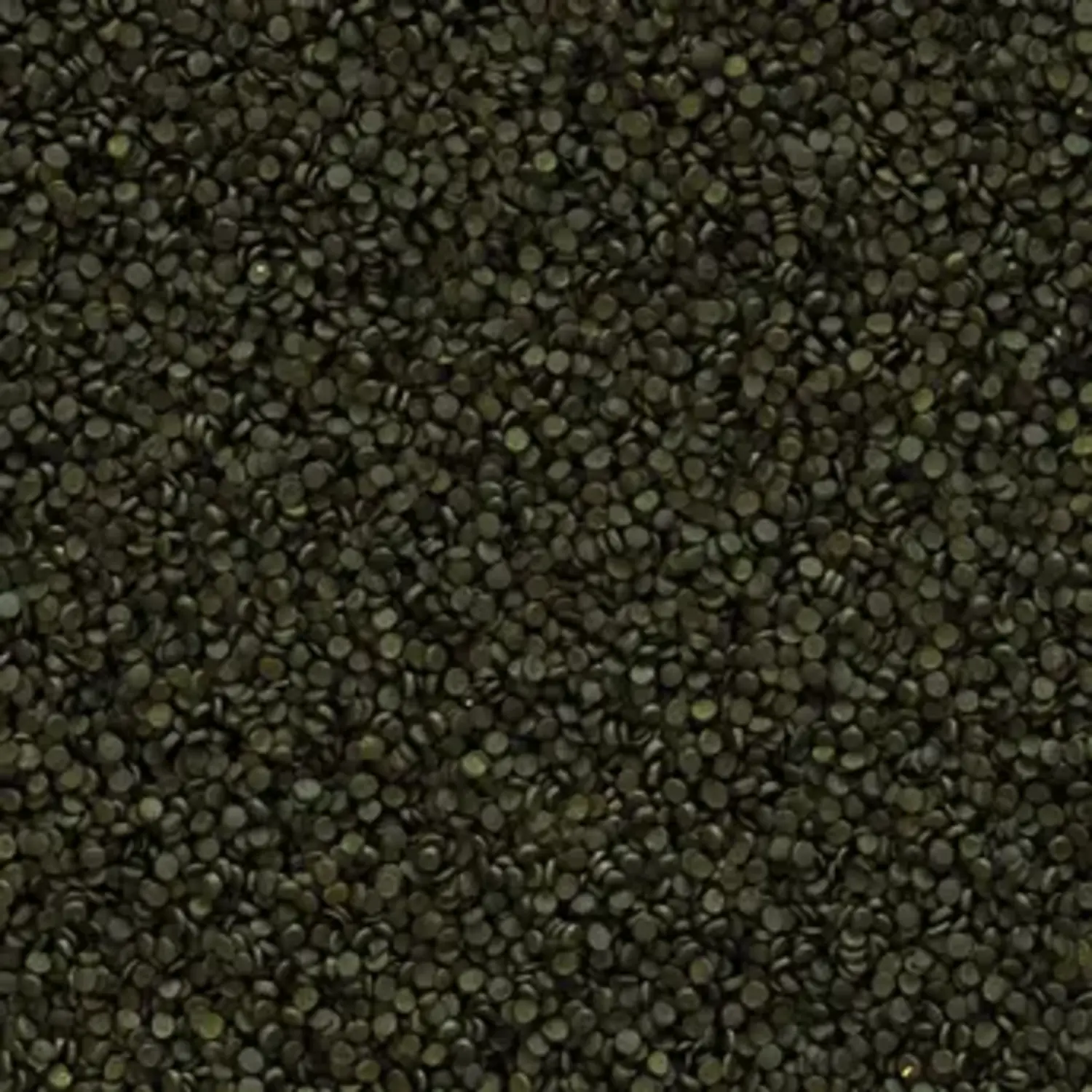 Tropical%20Super%20Spirulina%20Forte%20Gran%2025%20Gram%20Açık