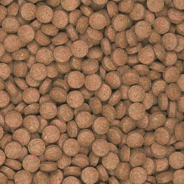 Tropical%20Supervit%20Tablets%20B%20500%20Adet%20Açık