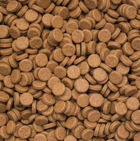 Tropical%20Vitality%20Color%20Tablets%20500%20Adet%20Kovadan%20Bölme