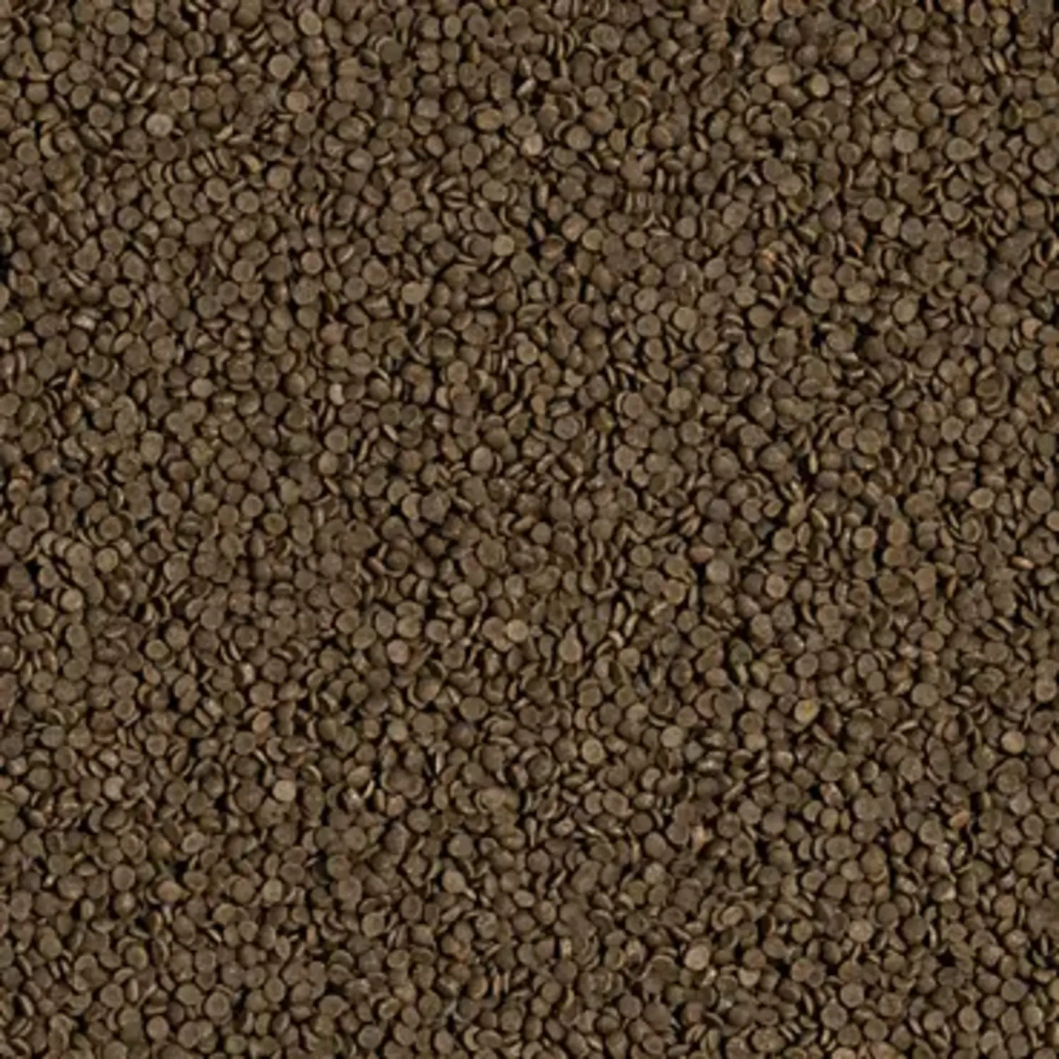 Tropical%20Welsi%20Gran%2025%20Gram%20Açık