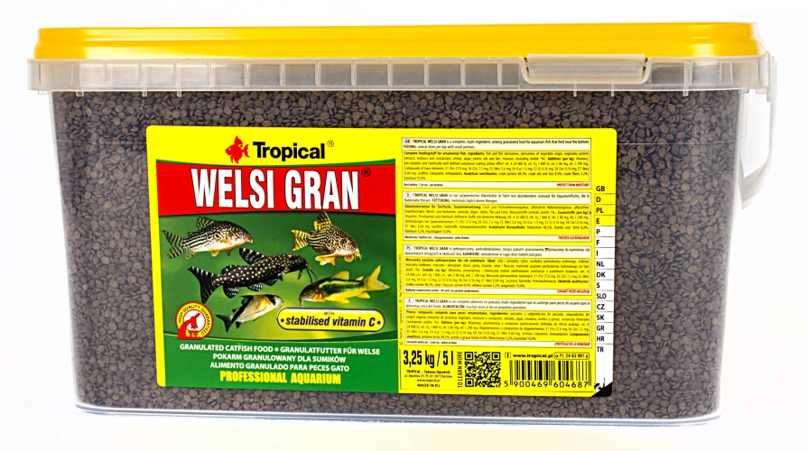 Tropical%20Welsi%20Gran%201000%20Gram%20Açık