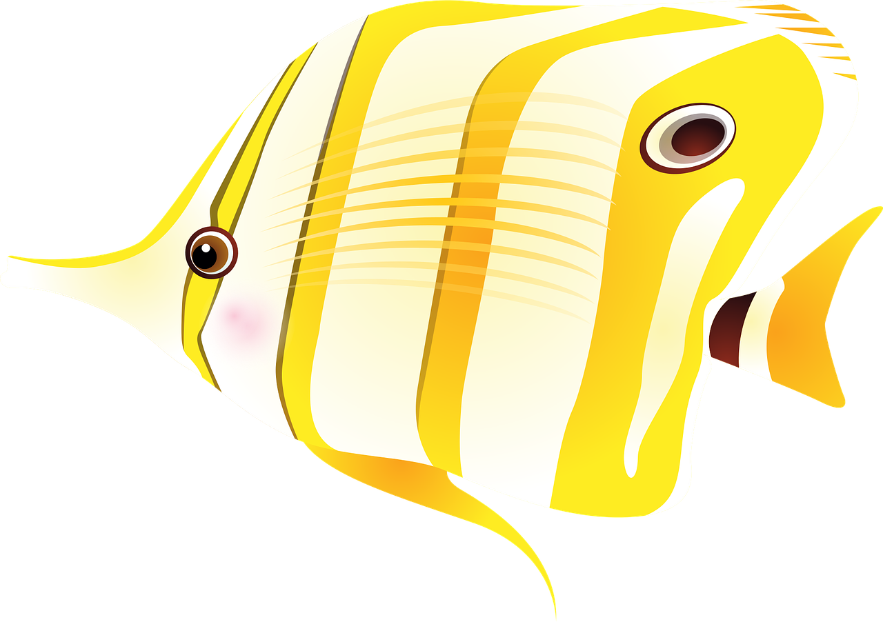 Akvaryum